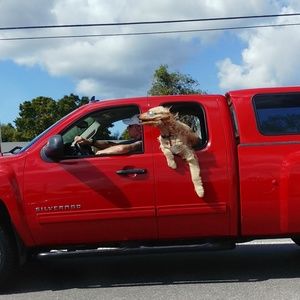 Meet your Posher, Tim